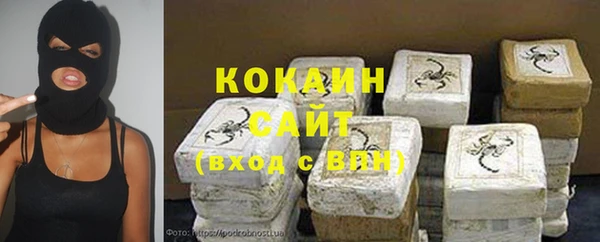 шишки Пестово