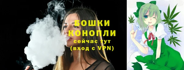 шишки Пестово