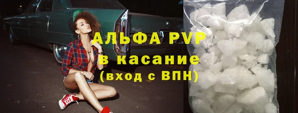 гидра Абаза