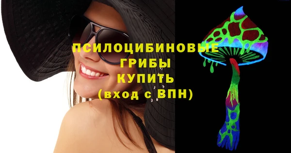 гидра Абаза