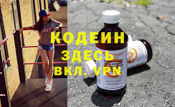 шишки Пестово