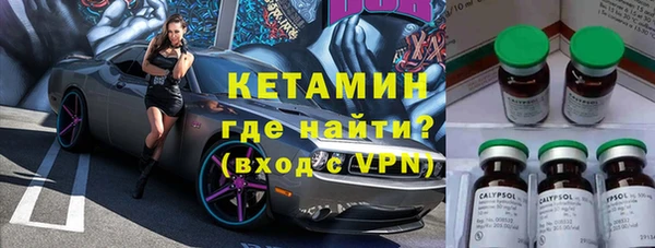 шишки Пестово