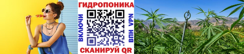 МАРИХУАНА LSD WEED  Киренск 